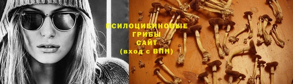 бошки Гусиноозёрск