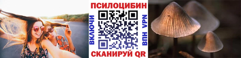 гидра рабочий сайт  продажа наркотиков  Уржум  Псилоцибиновые грибы MAGIC MUSHROOMS 